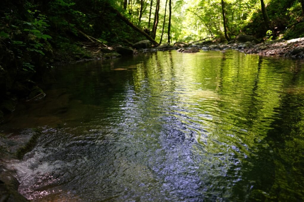 Scopri le meraviglie naturali: un'avventura alle cascate del Preloh