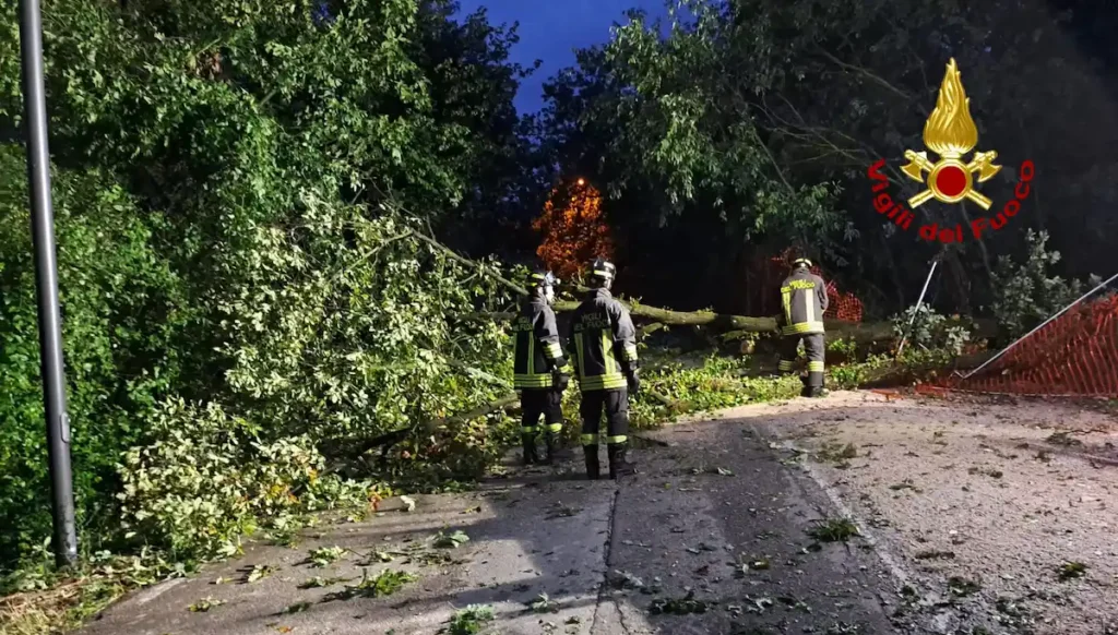 Alberi Caduti Tetti Danneggiati E Blackout I Danni Del Forte Vento In